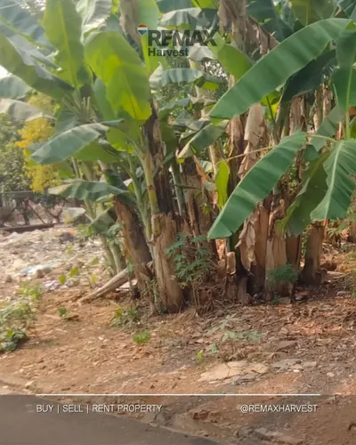 Tanah Baru Depok 2