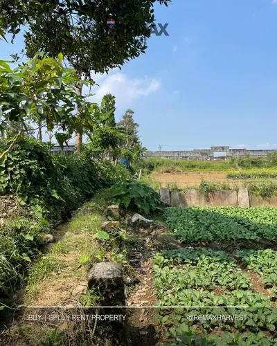 Lahan Cisaat Sukabumi 4