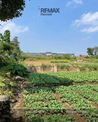 Lahan Cisaat Sukabumi 5