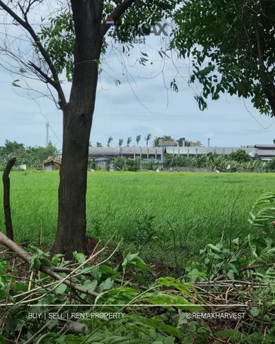Tanah Dalam Kawasan Industri Pancatama Cikande 2