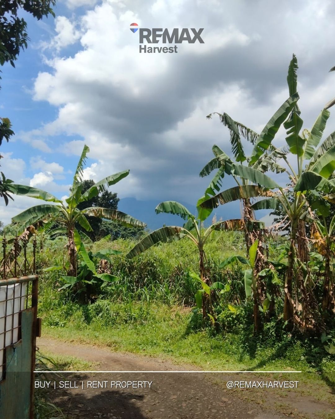 Rumah Tanah Kebun Luas Pakuan Bogor Selatan 3